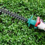 Beneficios de un cortasetos para tu jardín